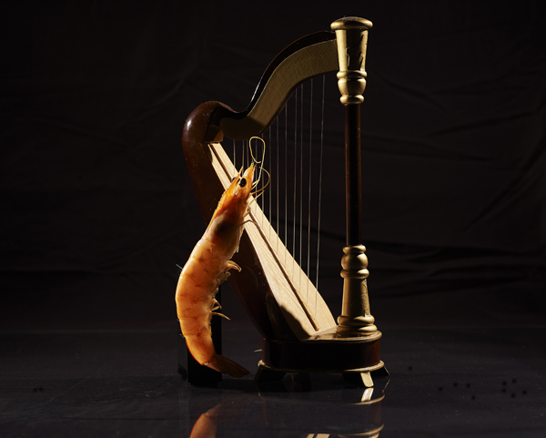 food photography rhodes