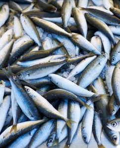 food photography rhodes