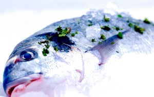 food photography rhodes